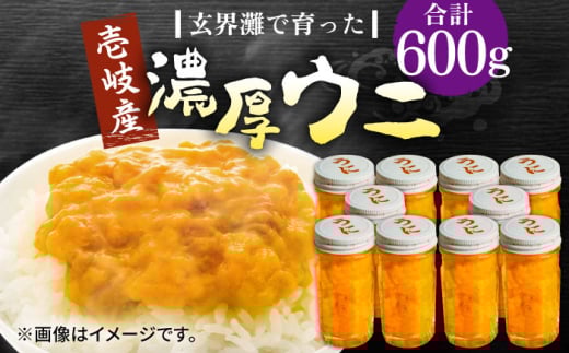 Y Z Ej 60g ×10{sstyВˌzTLEj CY CN Ej  _O  [JDR042]茧s150000ECYCJE^REEj