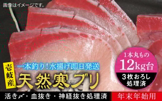 yNzy12Lz y11/1`1/15͂ NNnpzVR ui3낵j ssty򓇁@Cz[JBS117]  Ԃ Ԃ u  hg ԂԒ茧s410000EC