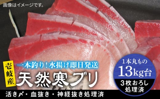 y13Lz 򓇎Y VRui3낵j ssty򓇁@Cz[JBS112]  Ԃ Ԃ u  hg Ԃ Ԃ肵 VR茧s200000ECYN