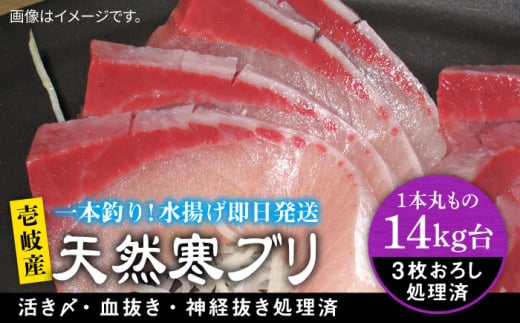 y14Lz 򓇎Y VRui3낵j ssty򓇁@Cz[JBS113]  Ԃ Ԃ u  hg Ԃ Ԃ肵 VR茧s235000ECYN