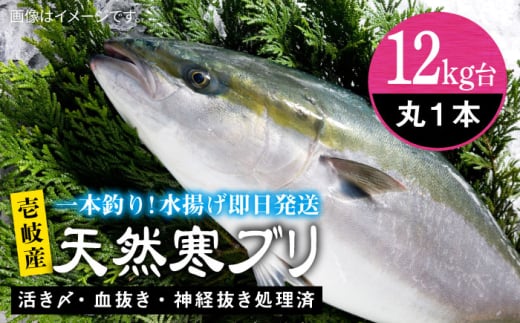 y12Lz򓇎YVRui4`14LEۂ́j ssty򓇁@Cz[JBS108] Ԃ Ԃ u  hg Ԃ ̂ v[g Mtg茧s161000ECY