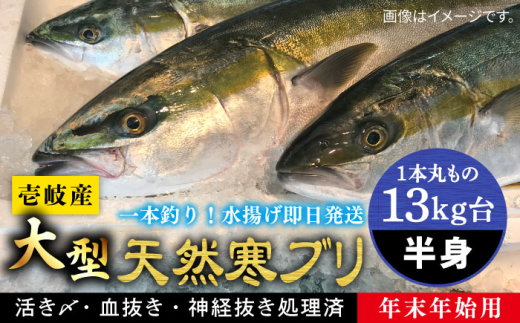 yNzy13Lz y11/1`1/15͂ NNnpzVR ui{ۂ̃TCY̔gubNj ssty򓇁@Cz[JBS122]  Ԃ Ԃ u  hg ԂԒ