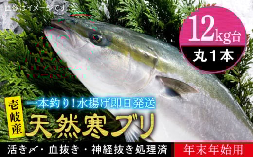 yΕΏہzyNzy12Lz y11/1`1/15͂ NNnpzVR uiۂ j ssty򓇁@Cz[JBS114]  Ԃ Ԃ u  hg ԂԒ茧s