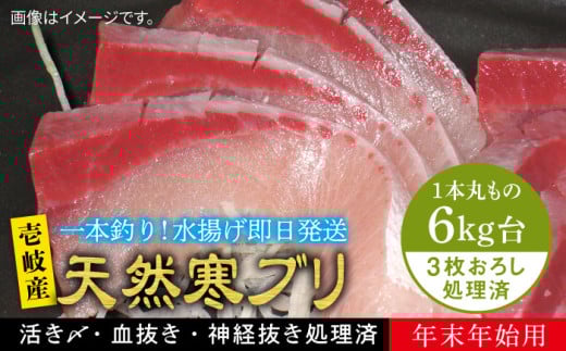 yΕΏہzyNzy6Lz y11/1`1/15͂ NNnpzVR ui3낵j ssty򓇁@Cz[JBS127]  Ԃ Ԃ u  hg ԂԒ茧