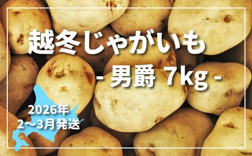 甘くてほくほく!北海道産越冬じゃがいも男しゃく 7kg A015北海道栗山町8000野菜・きのこじゃがいも・イモ類