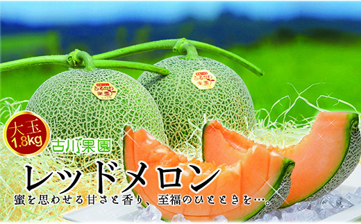 甘〜い贅沢「特選甘熟レッドメロン」1玉 C053北海道栗山町12000果物・フルーツメロン・スイカ