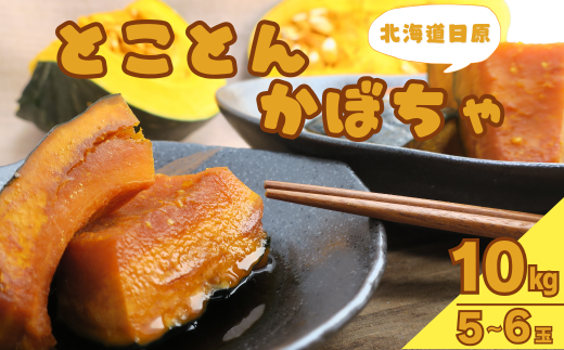 とことんかぼちゃ 10kg相当(イーテイ種 5〜6玉入) C043北海道栗山町13000野菜・きのこその他 野菜