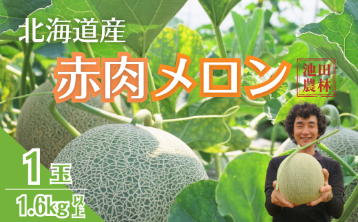 【先行予約】北海道栗山町産 幻のメロン 1玉 YC049北海道栗山町12000果物・フルーツメロン・スイカ