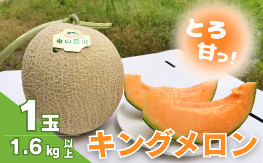 【先行予約】とろける舌触り!北海道栗山町東山農場産キングメロン 1玉 YC079北海道栗山町11000果物・フルーツメロン・スイカ