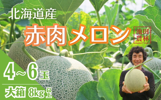 【先行予約】北海道栗山町産 幻のメロン 大箱(4〜6玉 計8kg程度) YH031北海道栗山町36000果物・フルーツメロン・スイカ