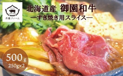 Y 䉀a ĂpXCX 500g@E029kCIR18000