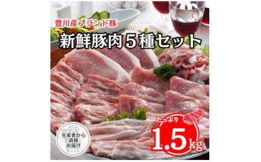 「とよかわみー豚」5種のバラエティセット(4〜5人前)【1261242】愛知県豊川市14000肉豚肉