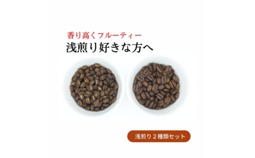 スペシャルティコーヒー 浅煎りコーヒー豆2種類セット 合計600g(粉 中挽き)【1346176】愛知県豊川市19000お茶・飲料コーヒー・紅茶