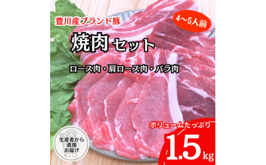 <生産者から直送>豊川産豚肉「とよかわみー豚」 焼肉セット【1478988】愛知県豊川市16000肉豚肉