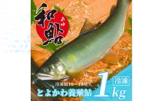 とよかわ鮎 1kg - 厳選鮎使用!<おすすめお礼品>【1289322】愛知県豊川市10000魚介・海産物鮮魚