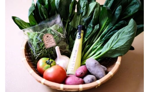 曽爾村の旬野菜と加工品の詰め合わせ お試しセット // 野菜 加工品 少量セット 味見 お試し奈良県曽爾村12000野菜・きのこその他 野菜