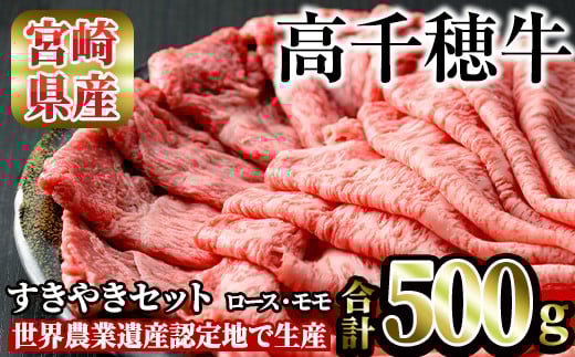 䋍 ĂZbg([XEe250g)Y {茧Y {苍  ē [X  ~ A4 a uhyMT011zyJA݂₴ 䋍~[gZ^[z{茧Ve23000