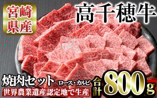 高千穂牛 焼き肉セット(ロース・カルビ各400g)国産 宮崎県産 宮崎牛 牛肉 焼肉 ロース カルビ 霜降り A4 和牛 ブランド牛【MT014】【JAみやざき 高千穂牛ミートセンター】宮崎県日之影町41000肉