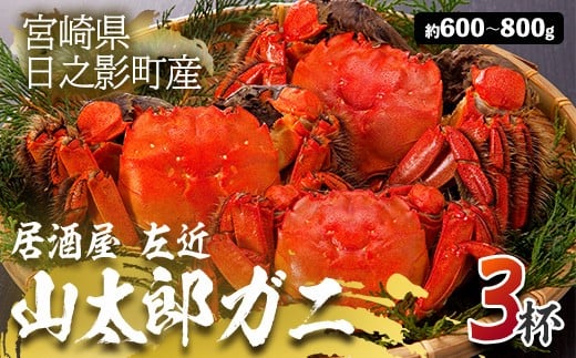 <期間限定>山太郎ガニ(3杯・約600g-800g)海鮮 魚介類 蟹 カニ モクズガニ【SK001】【居酒屋 左近】宮崎県日之影町12000魚介・海産物カニ