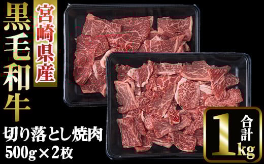 s\tI2026N1ȍ~\聄{茧Y јa ؗ ē(v1kgE500g×2)Y {茧Y јa  uߕ a ؂藎ƂyMI019zy()~`N{HZ^[z