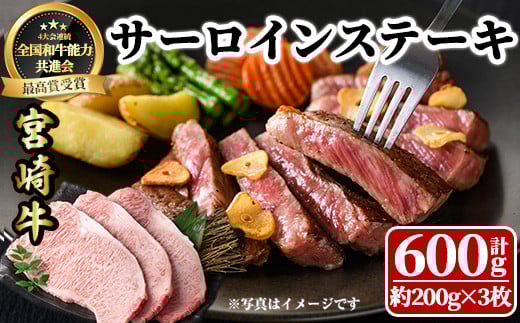 宮崎牛 サーロインステーキ(計600g・約200g×3枚)  牛肉 肉 ブランド牛  冷凍 国産 精肉 お取り寄せ 黒毛和牛 宮崎県 【LJ002】【ローカルブランディング株式会社】宮崎県日之影町27000肉牛肉