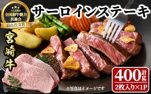 {苍 T[CXe[L(v400gE2) 󏭕 BBQ   uh  Ⓚ Y   јa {茧 yLJ015zy[JufBOЁz{茧Ve18000