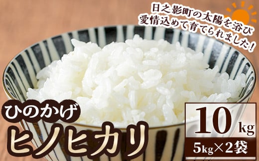 s\tI2025N11菇\聄 V E ߘa7NY ʌ聄{茧VeY qmqJ(v10kgE5kg×2)   Y ͂  yAF003zyЂЂ̂A