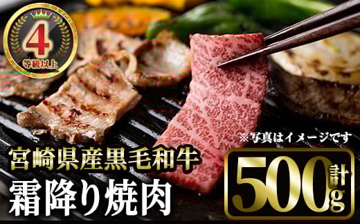 <先行予約受付中!2026年1月以降順次発送予定>4等級以上黒毛和牛霜降り焼肉(500g) 国産 宮崎県産  焼肉 BBQ  黒毛和牛 4等級以上 霜降り 【MI041】【(株)ミヤチク宮崎加工センター】宮崎県日之