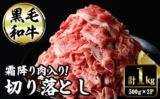 切り落とし和牛(500g×2P) 国産 宮崎県産 黒毛和牛 牛肉 こま切れ 小間切れ 炒めもの 霜降り 和牛 【AR011】【(有)有田牧畜産業 食肉加工センター】宮崎県日之影町16000肉牛肉