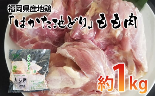 福岡県産地鶏「はかた地どり」もも肉(約1kg)【田川市】福岡県田川市12000肉鶏肉