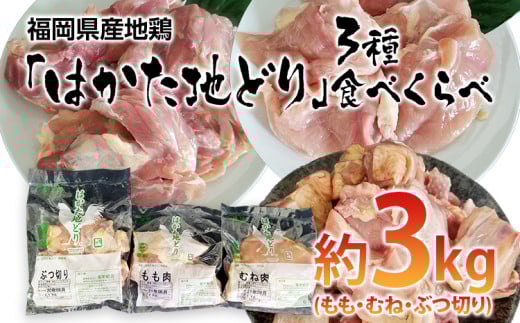 ͂nǂ 3Hׂז3kgZbg(EނˁEԂ؂)ycszcs26000{