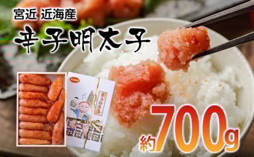 宮近 近海産 辛子明太子(約700g)【田川市】福岡県田川市21000魚介・海産物明太子・その他魚卵
