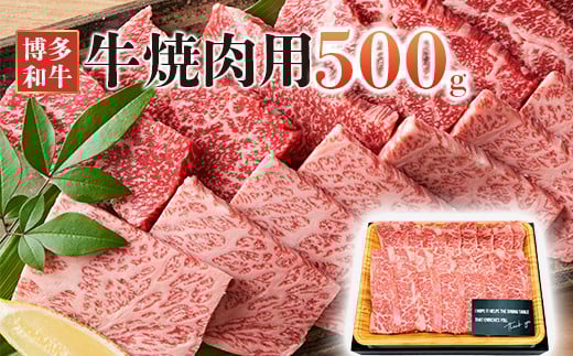 aēp@500cs13000