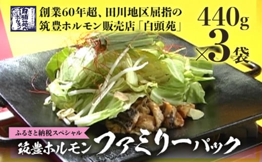 ふるさと納税限定仕様 ファミリーパック【味付ホルモン440g×3、自家製煮込タレ×3、つけタレ×1】白頭苑 ホルモン鍋 ホルモン福岡県田川市14000鍋セット・総菜・加工食品カレー・シチュー