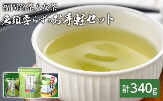 福岡銘茶八女茶 急須要らずのお手軽セット(便利なチャック付)福岡県田川市12000お茶・飲料お茶