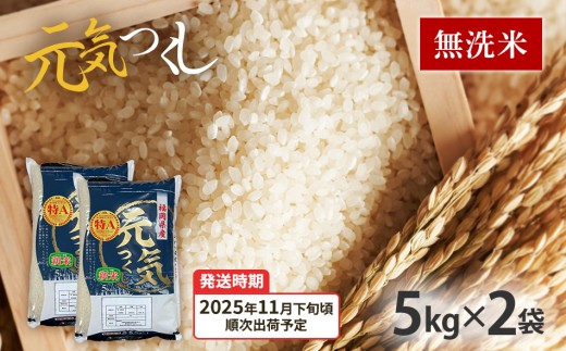 令和7年産 福岡県産ブランド米「元気つくし」無洗米10kg【11下旬頃より順次出荷予定】福岡県田川市44000米・パン無洗米