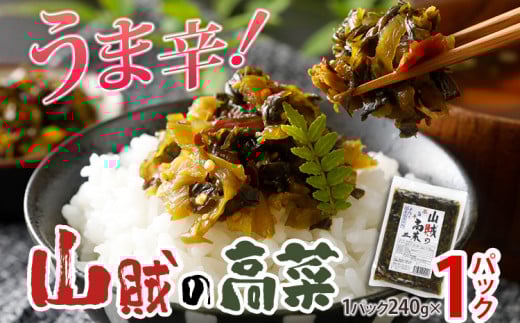 辛子高菜 240g×1パック 山賊の高菜 からし高菜 メール便 ポッキリ お米に合う ご飯のお供 おつまみ 国産 無添加 お取り寄せ 福岡 お土産 九州 グルメ 福岡県福岡県田川市3000鍋セット・総菜・