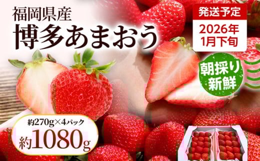 ystz_ƒ ̂VNy܂z1{菇 270g×4pbN Y  C`S ̂ ① XC[c W[X Mtg v[g yY B 