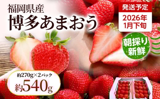 ystz_ƒ ̂VNy܂z1{菇 270g×2pbN Y  C`S ̂ ① XC[c W[X Mtg v[g yY B 