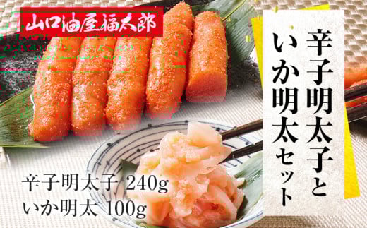 RY Ȃƒp qƂZbg hqq240E100g 񂹃O  ߂񂽂  yY B yY  O ͂̂