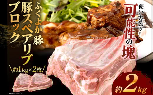 ӂ悩؃XyAuubNJbg22kg ؃XyAuubN v2kgi1kg×2j ؃XyAu ؓ u^ Ԃ  ubN  XyAu ӂ悩 BBQ ύݗ AEg