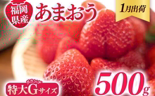 福岡県産 あまおう 500g (250g×2パック) いちご 1月中発送 いちご 苺 フルーツ 果物 くだもの 大粒Gサイズ グランデ 農家直送 大粒 不揃い 福岡県 福岡 九州 グルメ お取り寄せ福岡県田川市900