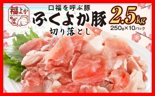 ؓ ӂ悩 ؂藎Ƃ 2.5kgi250g×10pbNj  Ef  Ef  ^pbN u^ Ԃ IĂ Ă ؏` Ⓚ   B O 񂹕cs