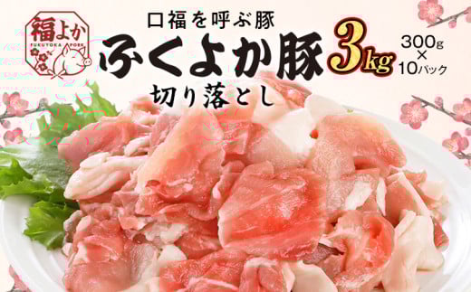 ؓ ӂ悩 ؂藎Ƃ ӂ悩ؐ؂藎Ƃ 3.0kgi300g×10pbNj  Ef  Ef  ^pbN u^ Ԃ IĂ Ă ؏` Ⓚ   B O