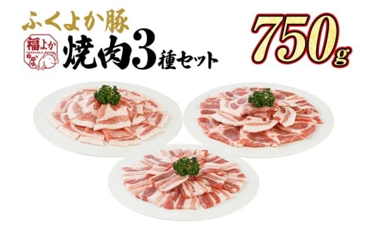 豚肉 焼肉 ふくよか豚 焼肉3種セット 750g ロース 肩ロース バラ ロース肉 肩ロース肉 バラ肉 小分け ブタ肉 ぶた肉 生姜焼き 豚丼 冷凍 福岡県 福岡 九州 グルメ お取り寄せ福岡県田川市10000