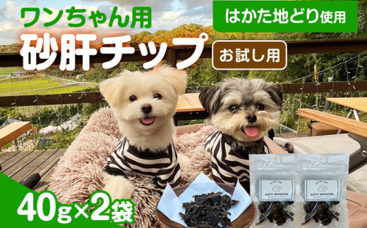 はかた地どり使用 お試しご家庭用 素材そのまま 砂肝カットのワンちゃん用おやつ 40g×2袋 砂肝 ジャーキー おやつ 福岡県産 天然素材100% 添加物不使用 安心 安全 犬用 ペット用品福岡県