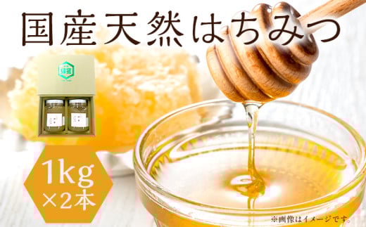 はちみつ 国産 蜂蜜 ハチミツ 2kg 国産 天然 はちみつ 1kg×2本 計2kg 福岡県 福岡 九州 グルメ お取り寄せ福岡県田川市35000鍋セット・総菜・加工食品ジャム・はちみつ