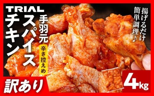 󂠂 XpCX`L H 4kg t ^Ђ { H Ⓚ ȒP y   O cs10000{