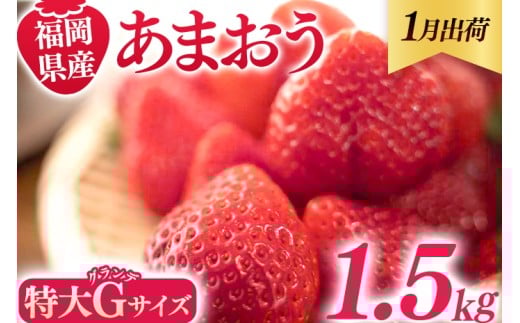 福岡県産 あまおう 1500g (250g×6パック) いちご 1月中発送 いちご 苺 フルーツ 果物 くだもの 大粒Gサイズ グランデ 農家直送 大粒 不揃い 福岡県 福岡 九州 グルメ お取り寄せ福岡県田川市19
