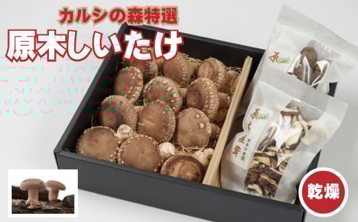 Y-1302 カルシの森の特選 原木椎茸(生・乾)詰め合わせセット北海道新得町13000野菜・きのこきのこ